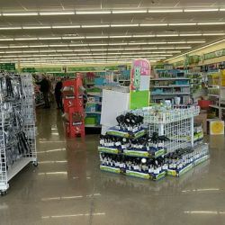 Dollar Tree ico