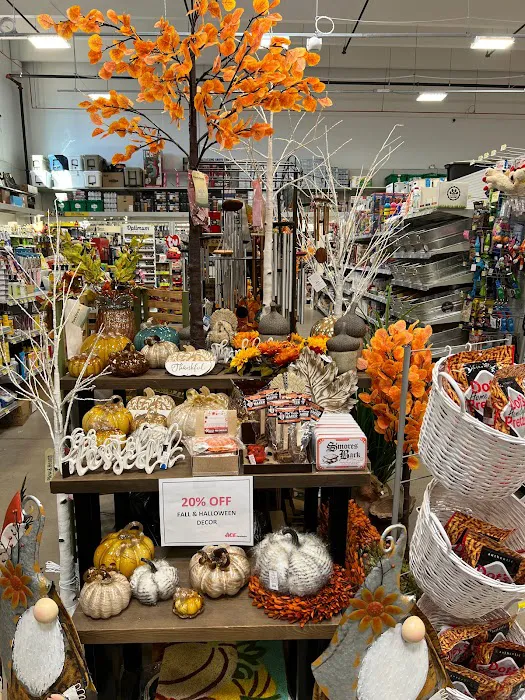 Ace Hardware at Northgate 8