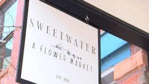 Sweetwater a Flower Market Studio 4