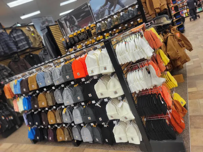 Scheels 5