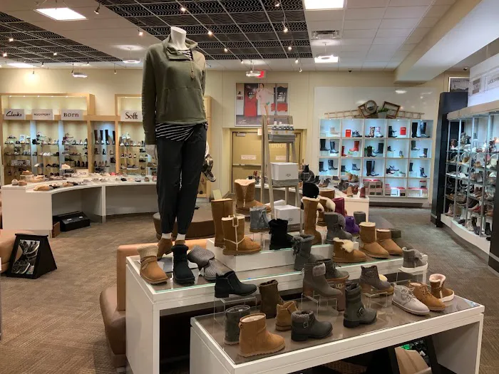 Scheels 9