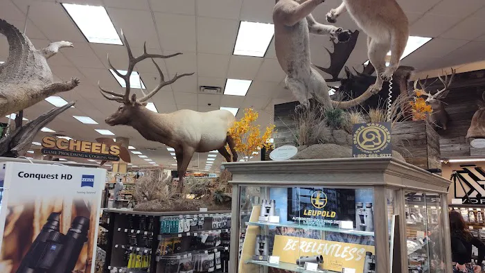 Scheels 6