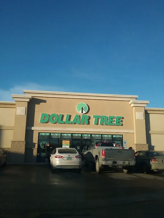 Dollar Tree 7