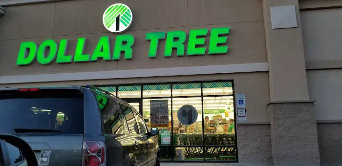 Dollar Tree 6