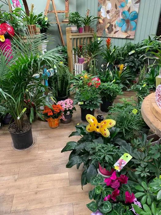Ken's Flower Shop 4