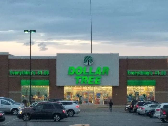 Dollar Tree 6