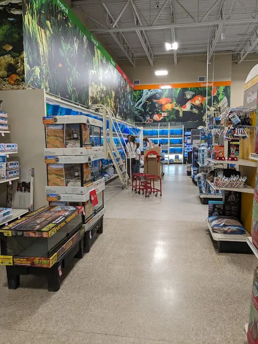 Dollar Tree 4