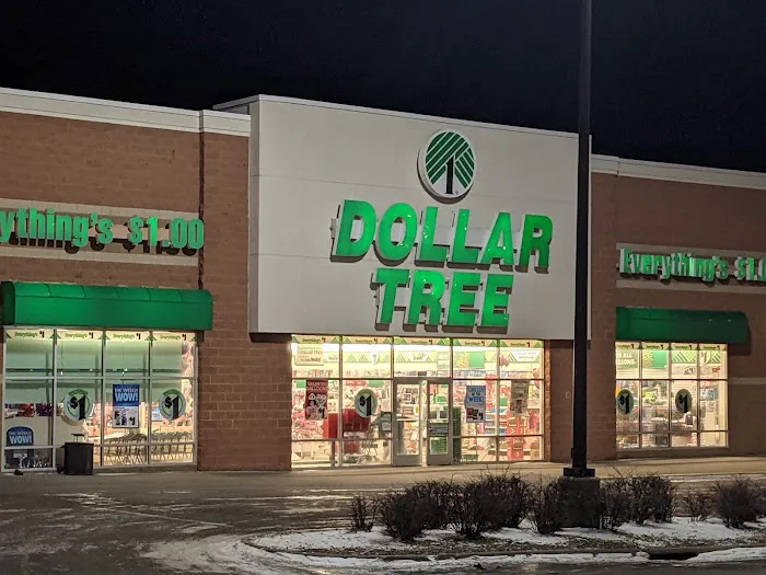 Dollar Tree 3