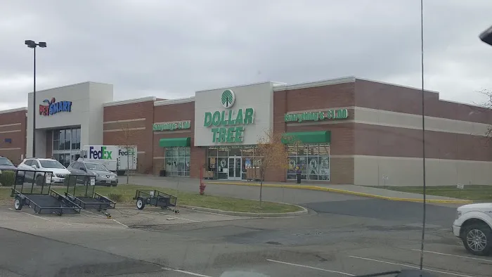 Dollar Tree 9