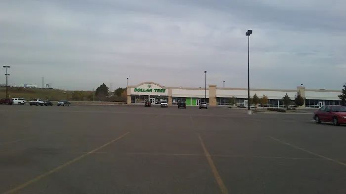 Dollar Tree 7