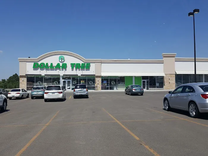 Dollar Tree 6