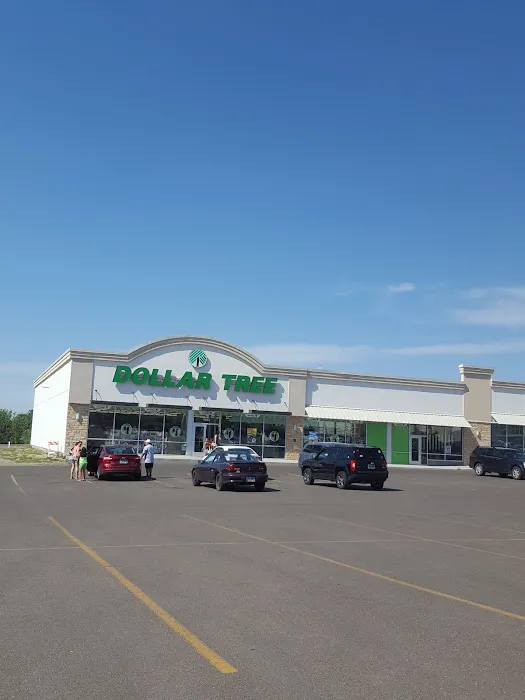 Dollar Tree 5