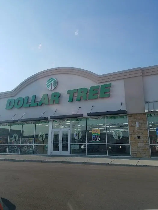 Dollar Tree 2
