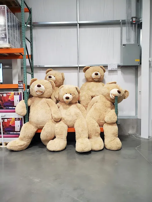 Costco Wholesale 0
