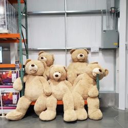 Costco Wholesale ico