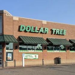 Dollar Tree ico