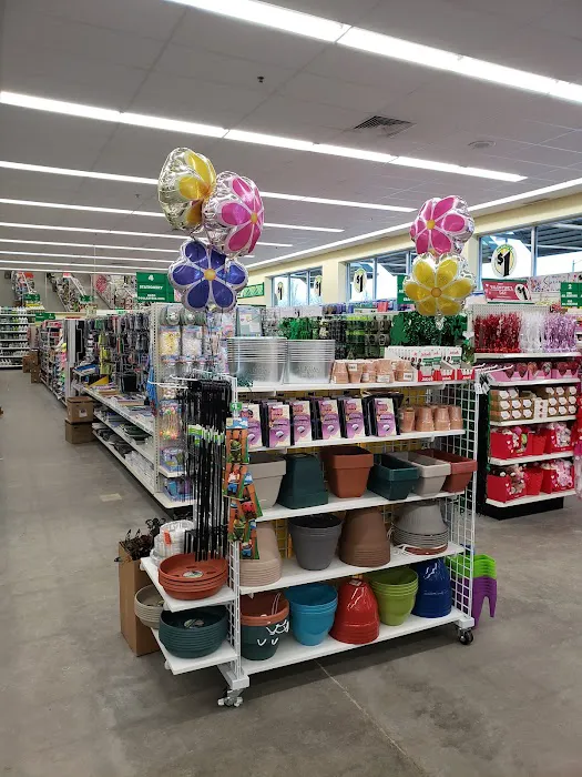 Dollar Tree 4