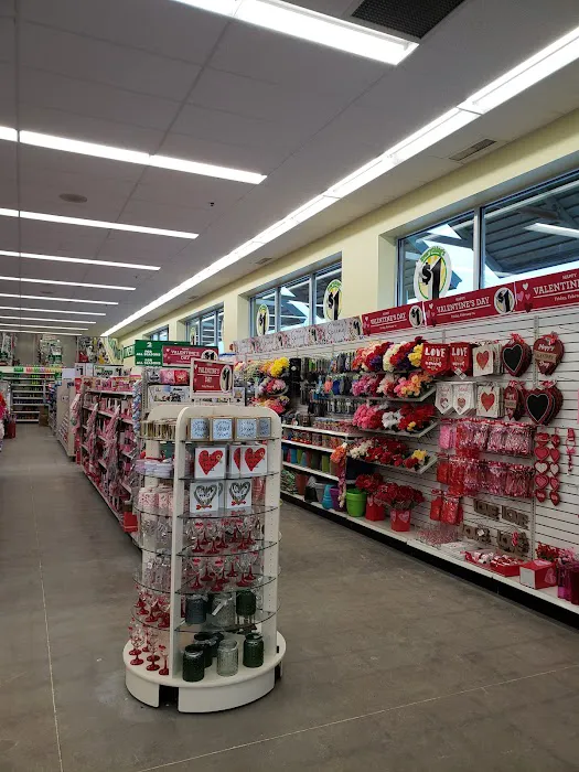 Dollar Tree 6