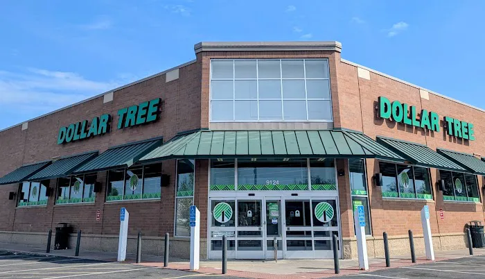 Dollar Tree 1