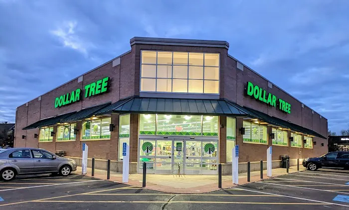 Dollar Tree 8