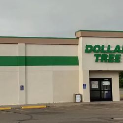 Dollar Tree ico