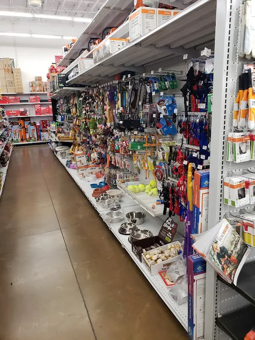 Ruggiero's Ace Hardware - Chandler 5