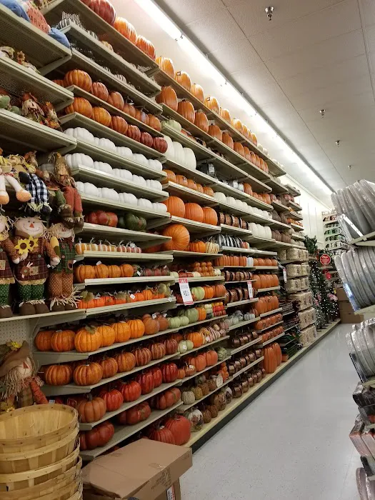 Hobby Lobby 4