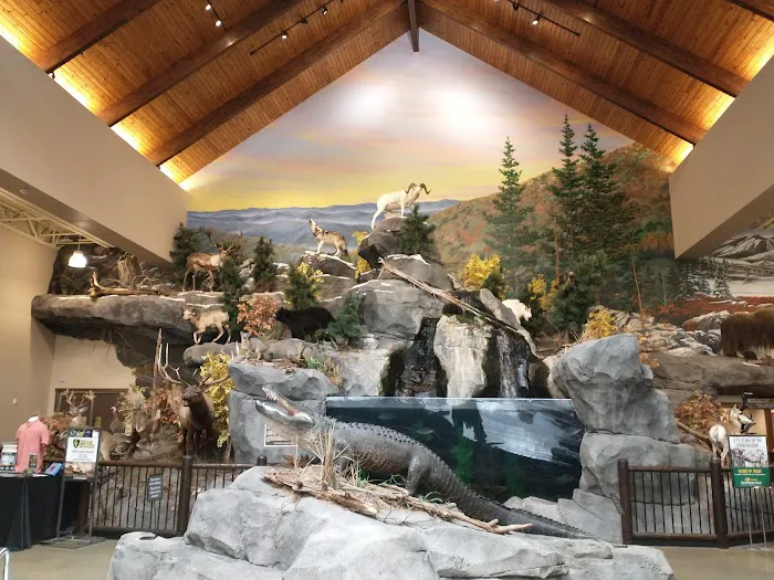 Bass Pro Shops 3