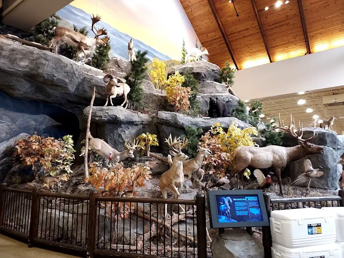 Bass Pro Shops 1