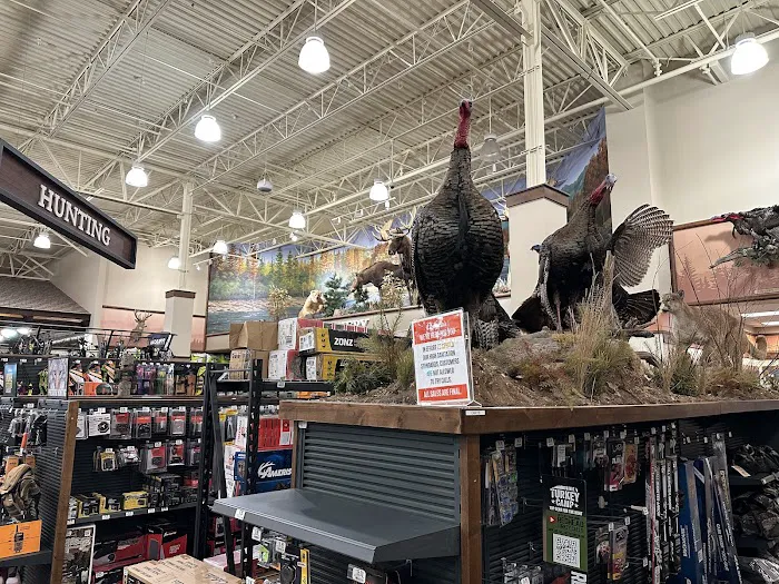 Bass Pro Shops 4