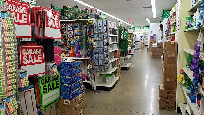 Dollar Tree 9