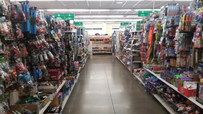 Dollar Tree 8