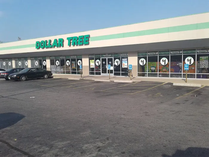 Dollar Tree 6