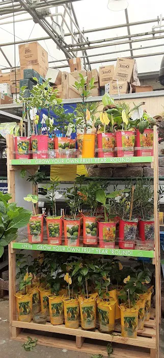 Lowe's Garden Center 4