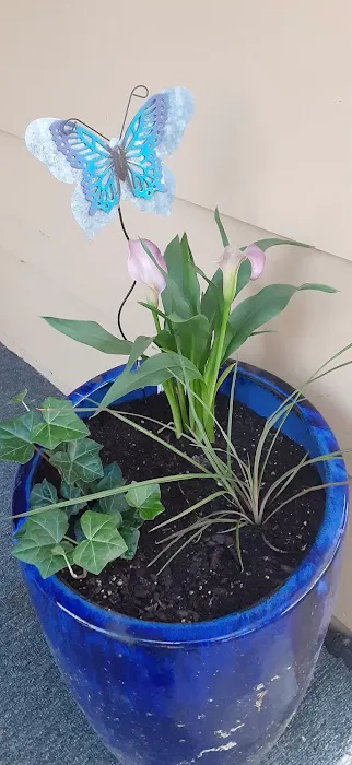 Lowe's Garden Center 7