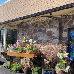Ye Olde Yardley Florist & Flower Delivery ico