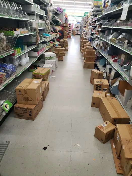 Dollar Tree 6