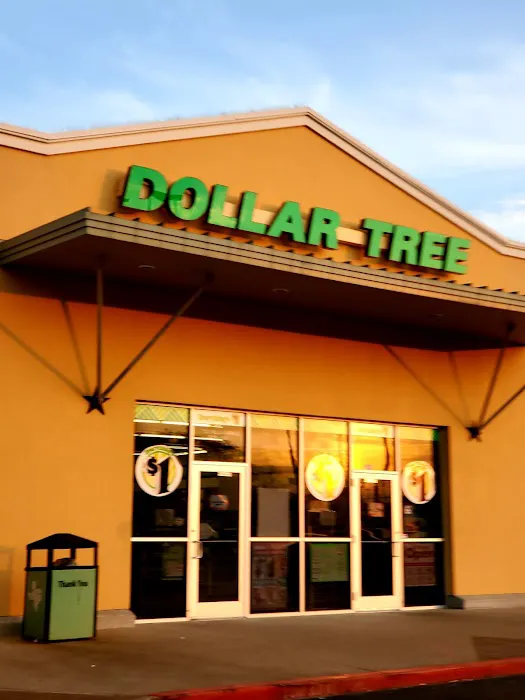Dollar Tree 2