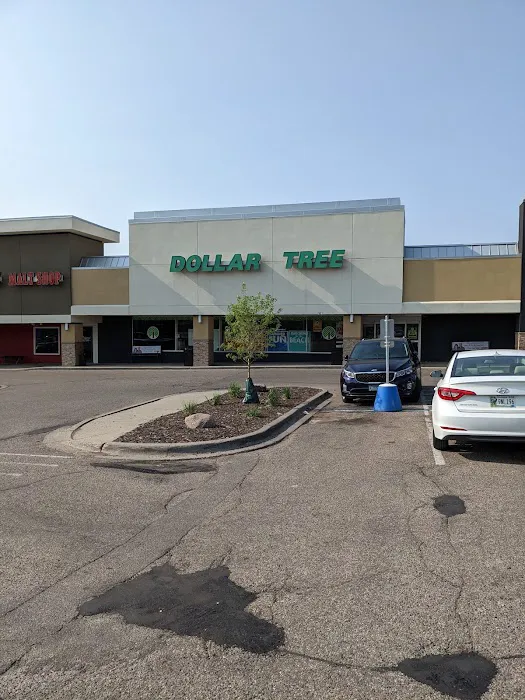 Dollar Tree 3