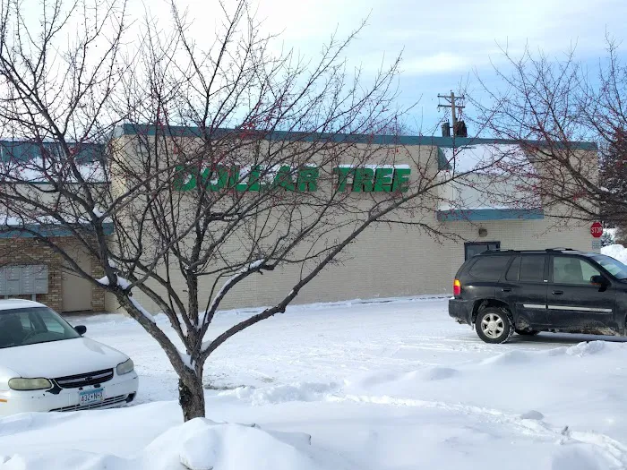 Dollar Tree 4