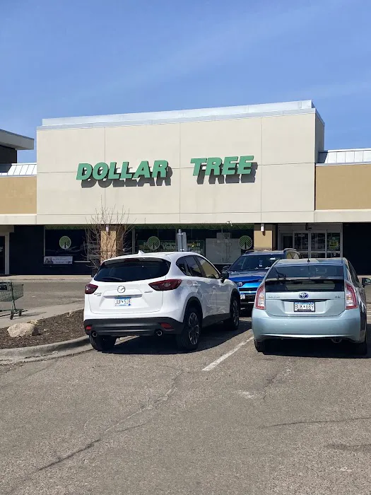 Dollar Tree 2