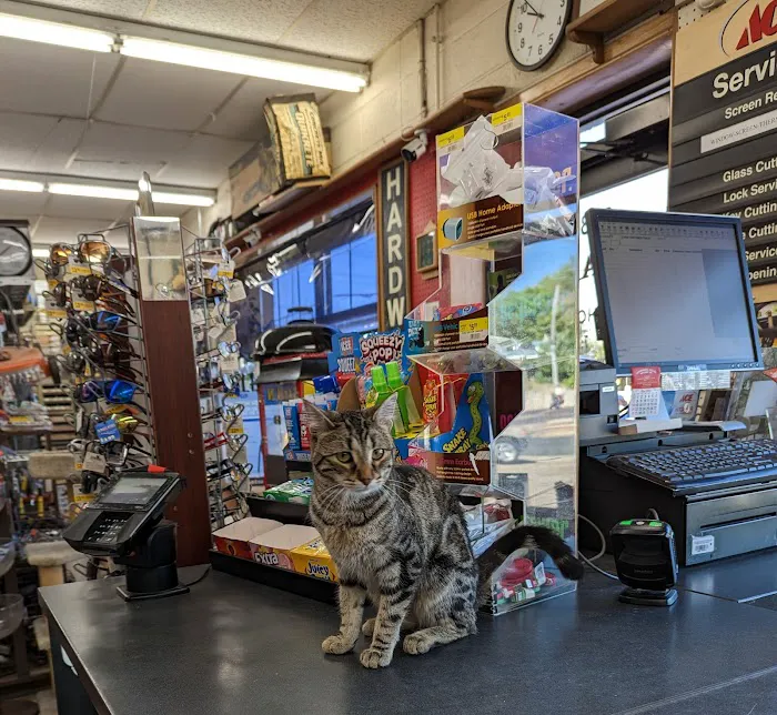 Kendall's Ace Hardware & Paint 0