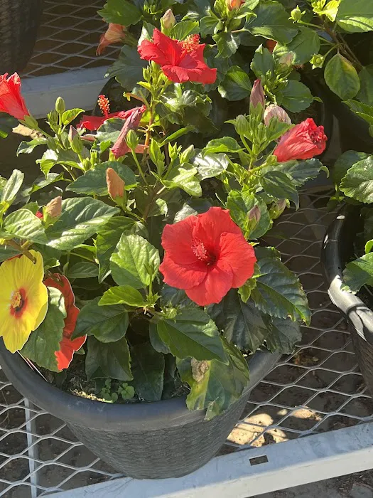 The Home Depot 0