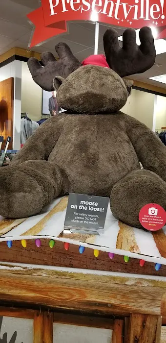 Kohl's 5