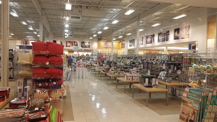 Belk 4
