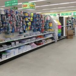 Dollar Tree ico