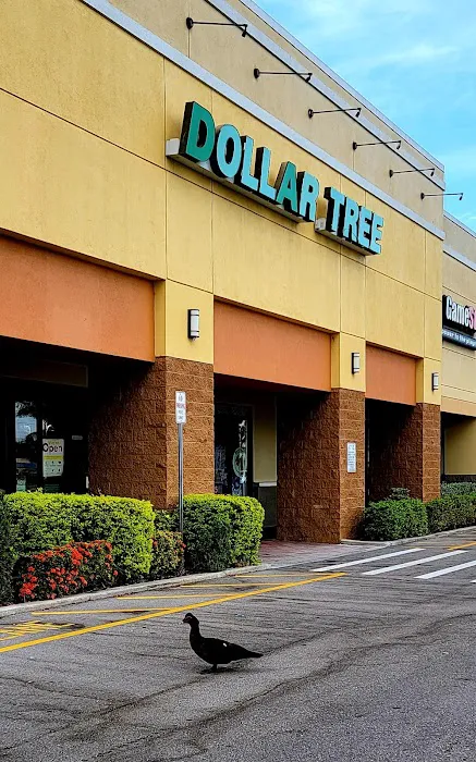 Dollar Tree 8