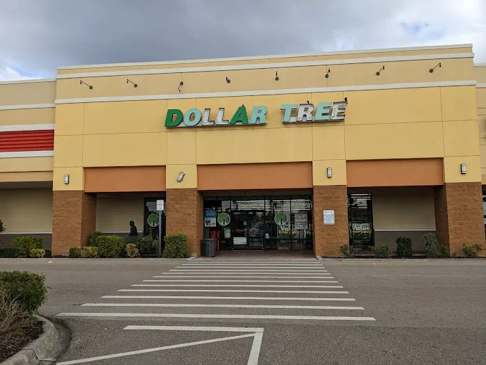 Dollar Tree 7