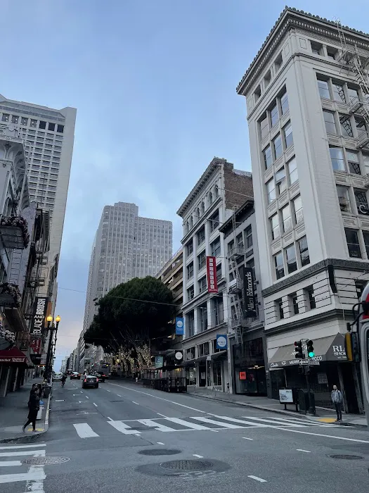 The Archive, San Francisco 6