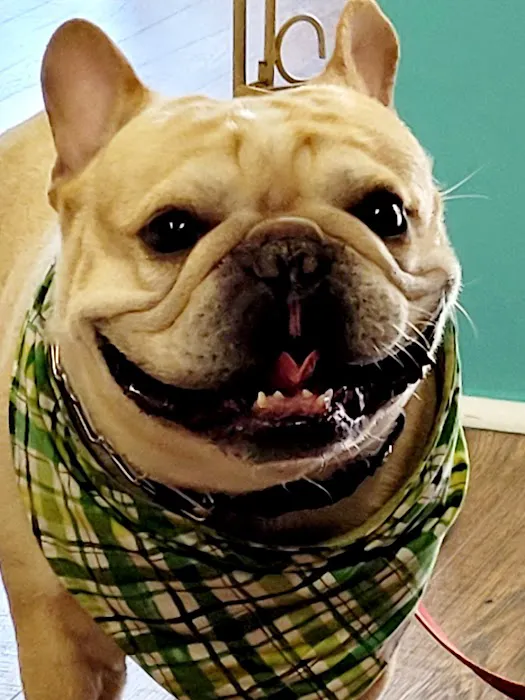 Puppernickel 6